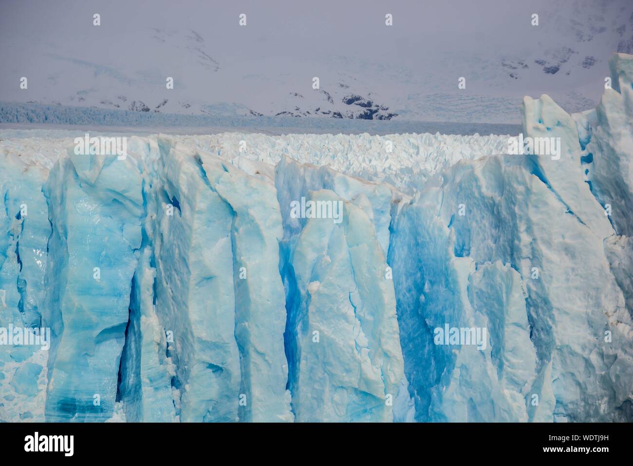 Gletscher im Los Glaciares Nationalpark Stockfoto