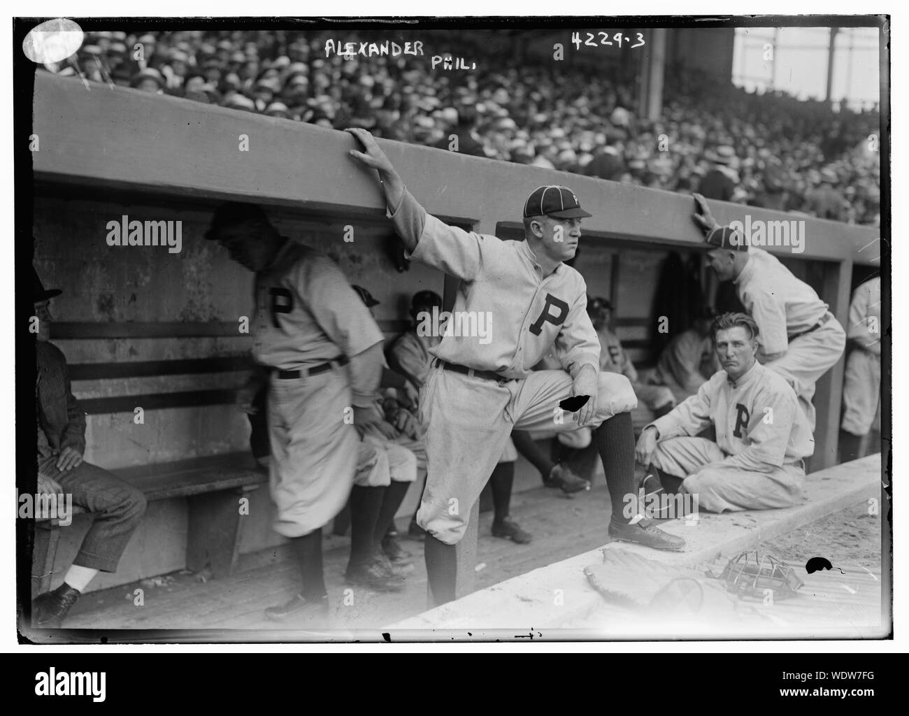 Grover Cleveland Alexander, Philadelphia NL (Baseball) Abstract / Medium: 1 Negativ: Glas 5 x 7 in. oder kleiner. Stockfoto