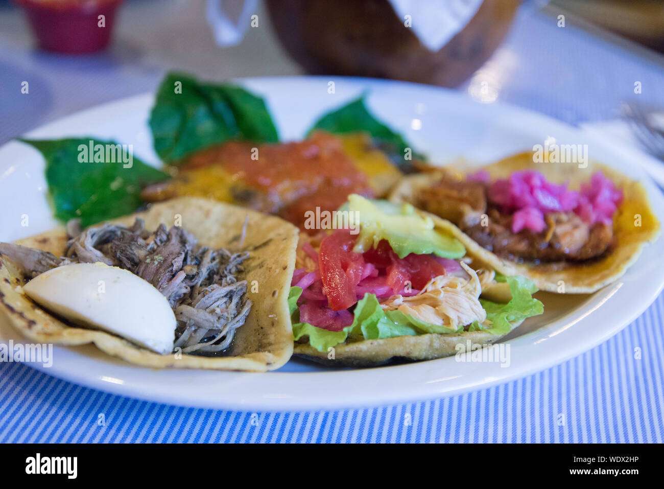 Panuchos, Lebensmittel Yucatan-Mexico Stockfoto