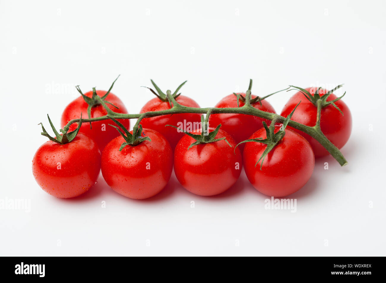 Rote Tomaten auf der Rebe Stockfoto