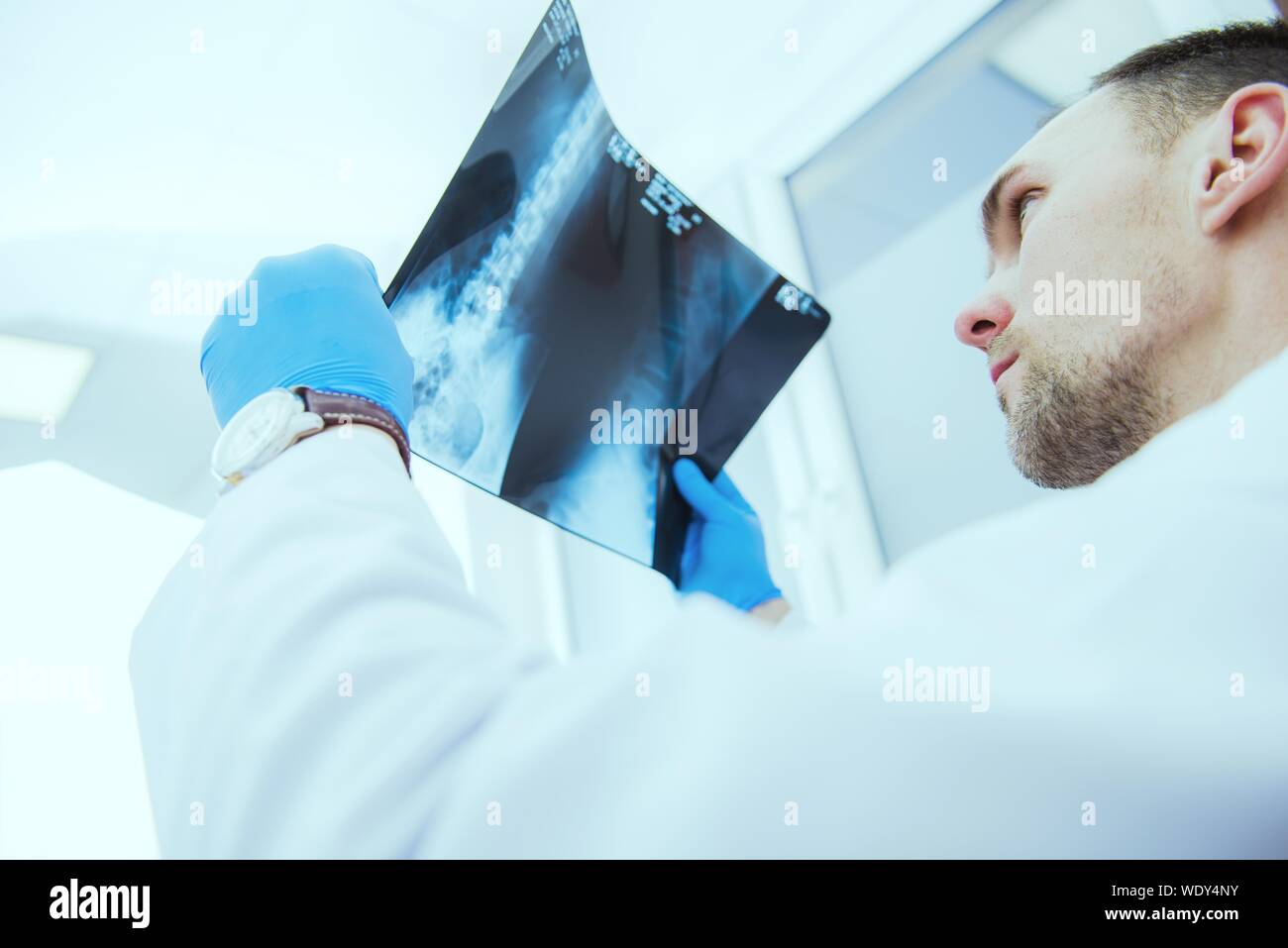 Arzt untersucht Wirbelsäule X-ray im Krankenhaus Stockfoto