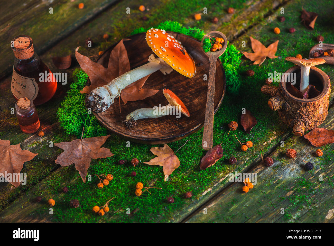Rote giftige Pilze auf einem Holztisch mit Moos und Blättern. Herbst flach mit Kopie Raum Stockfoto