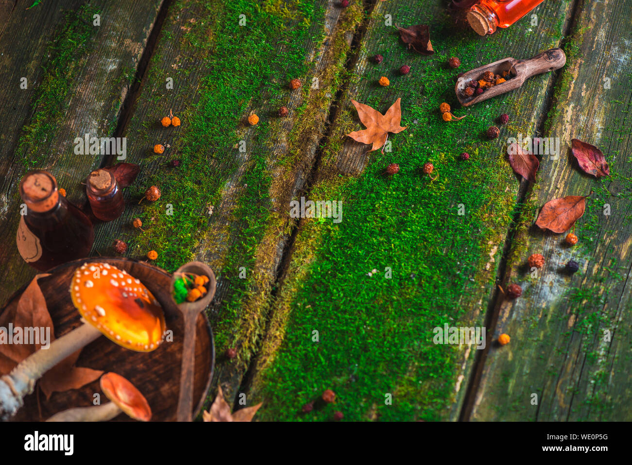 Rote giftige Pilze auf einem Holztisch mit Moos und Blättern. Herbst flach mit Kopie Raum Stockfoto