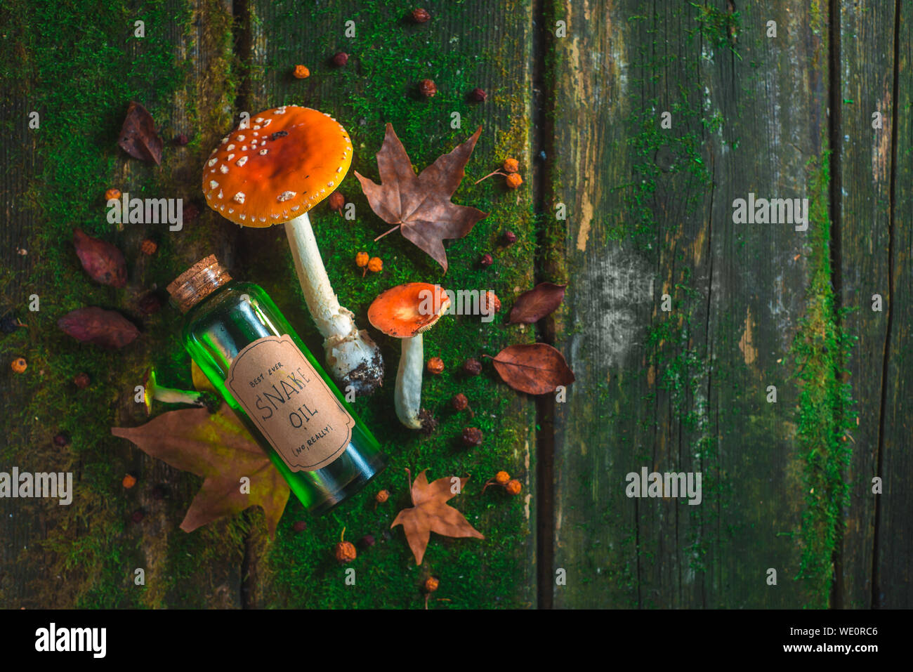 Rote giftige Pilze auf einem Holztisch mit einer Flasche Snake Oil, Moos und Blättern. Fake madicine Konzept mit Kopie Raum Stockfoto