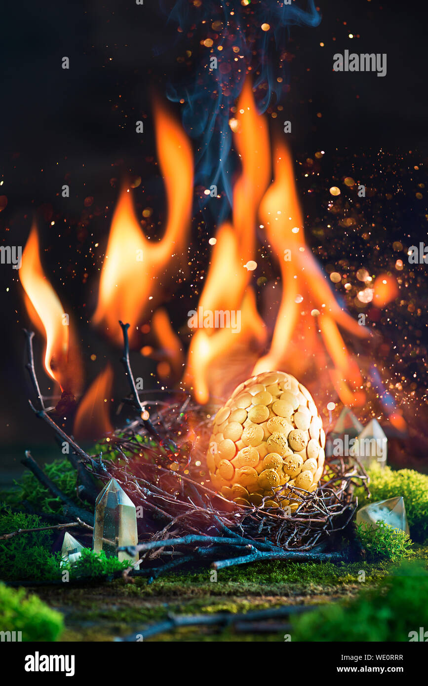 Dragon Egg in Flammen. Golden Magische Ei in ein Nest von Feuer. Magische Konzept Stockfoto