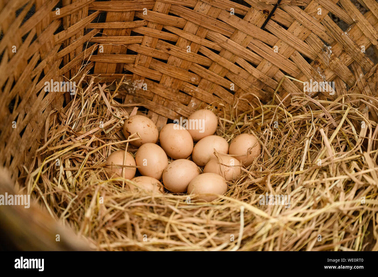 Stapel von Eiern auf Stroh in Holz- korb Viehbestand Stockfoto