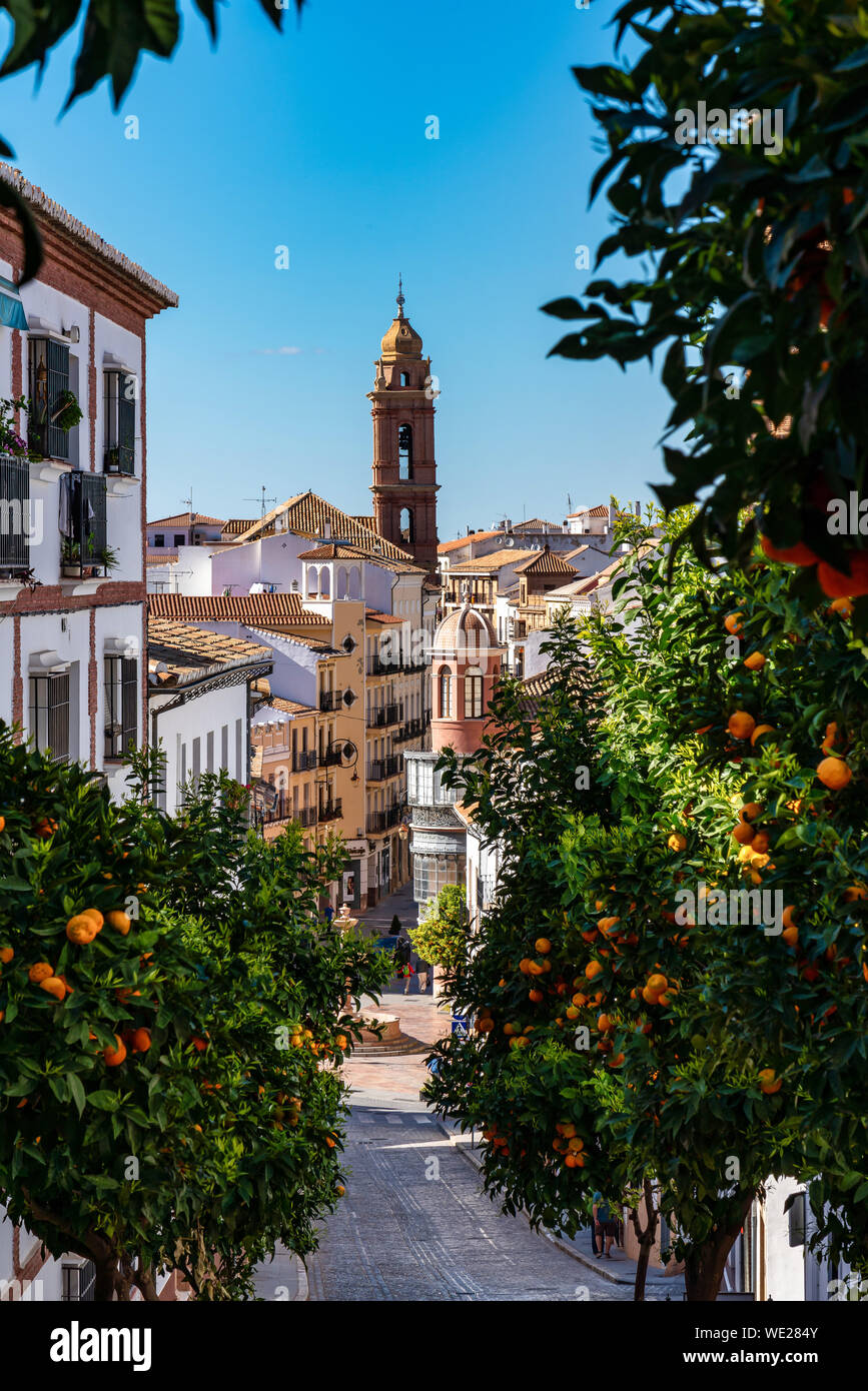 San Sebastian Kirche Turm in Antequera, Provinz Malaga, Andalusien, Spanien Stockfoto