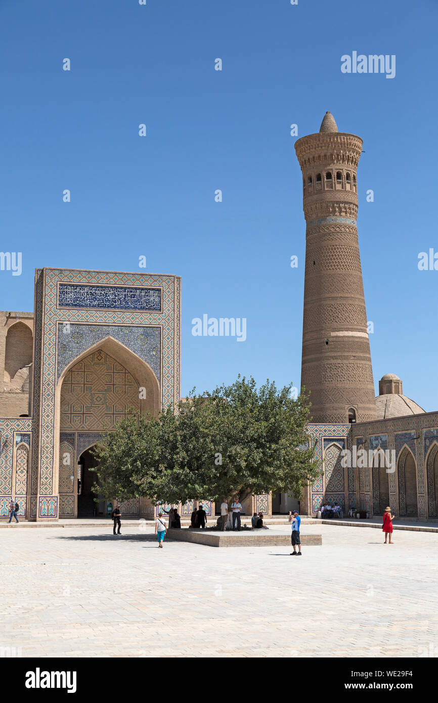 Die kalyan Minarett und die umliegenden Gebäude in der Stadt Buchara in Usbekistan. Stockfoto