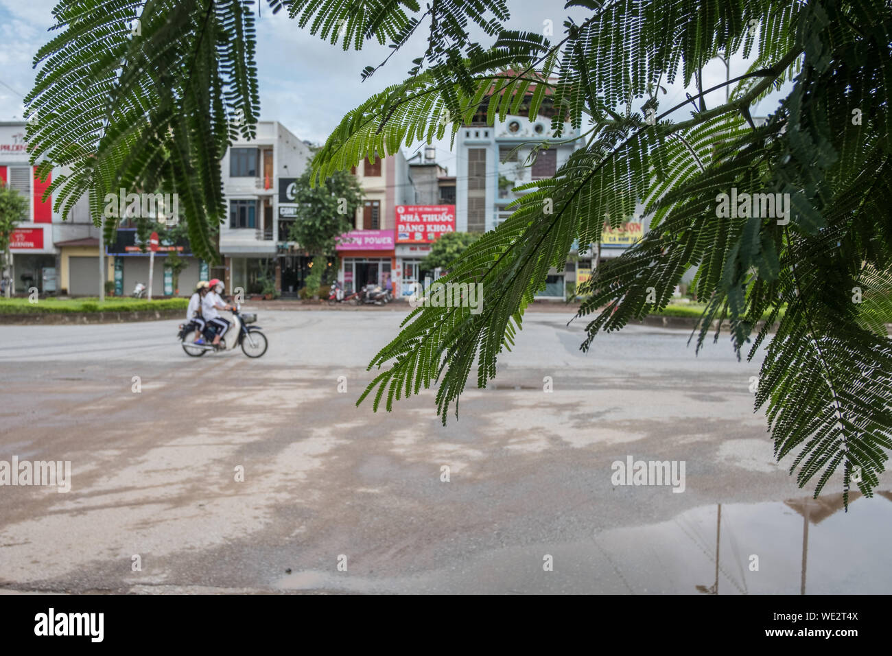 Vietnam Scooter Stockfoto