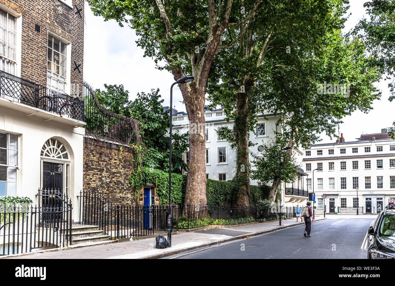 Eine Reihe von grünen Bäumen entlang Montague Street, London, England, UK gesäumt. Stockfoto