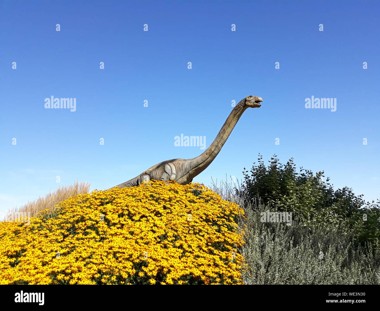 Brontosaurus langen Hals Dinosaurier pflanzenfressenden Reptilien wild Jurassic Park zum Angriff bereit Stockfoto