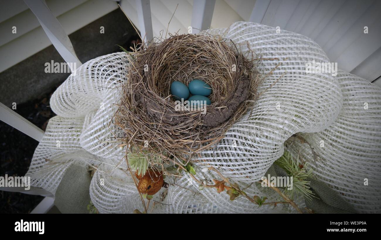 High Angle View Robin Eier im Nest Stockfoto