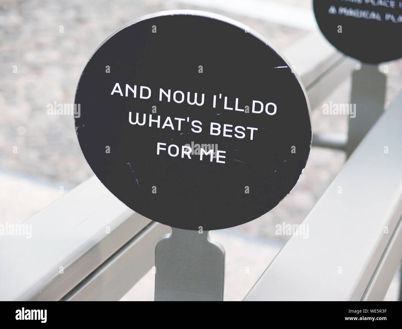 Essay egoismus 08 picture