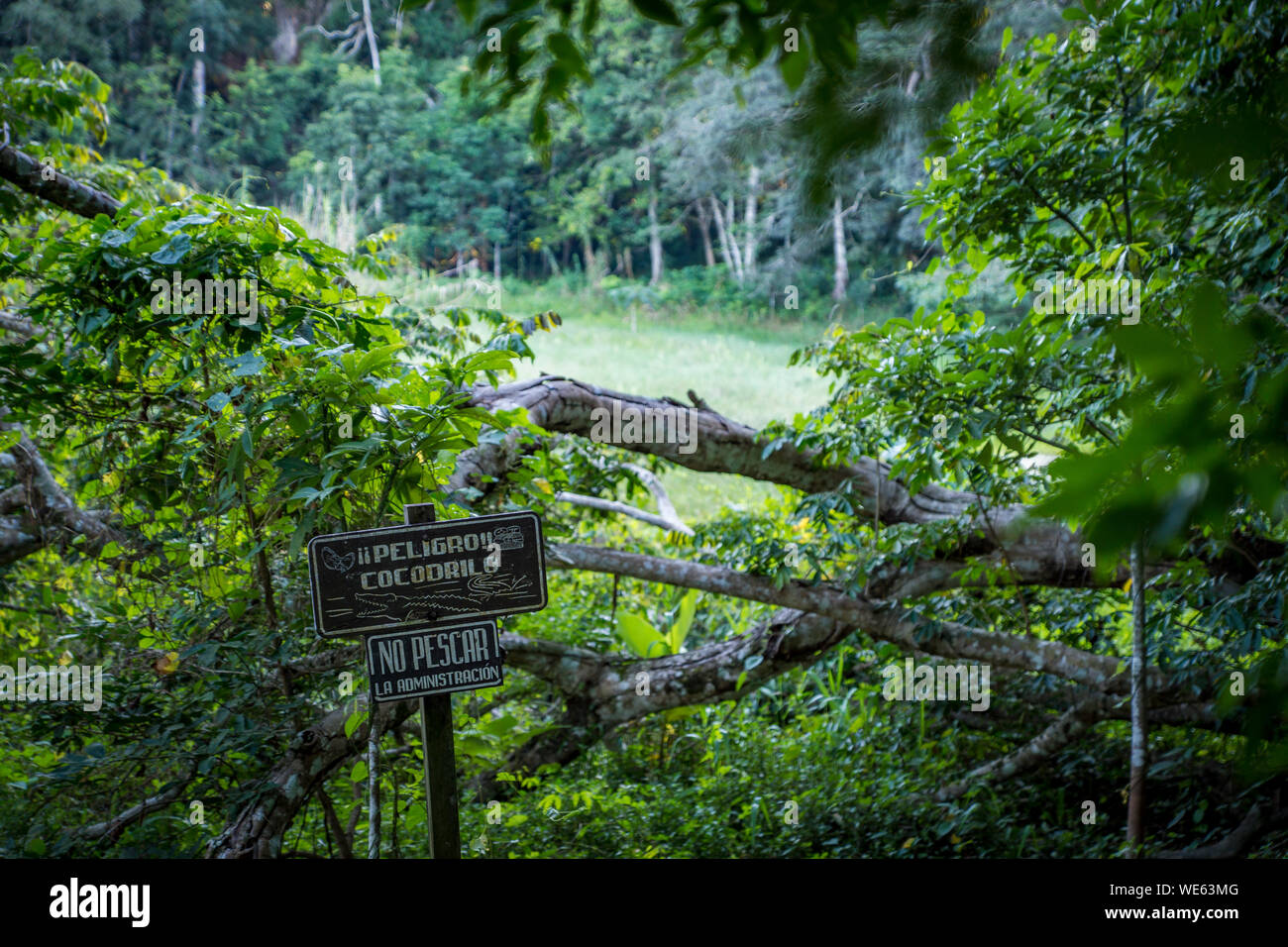 Zeichen für Gefahr von Krokodilen, mit dem See im Hintergrund von Wald umgeben. Bei Tikal, Guatemala. Stockfoto