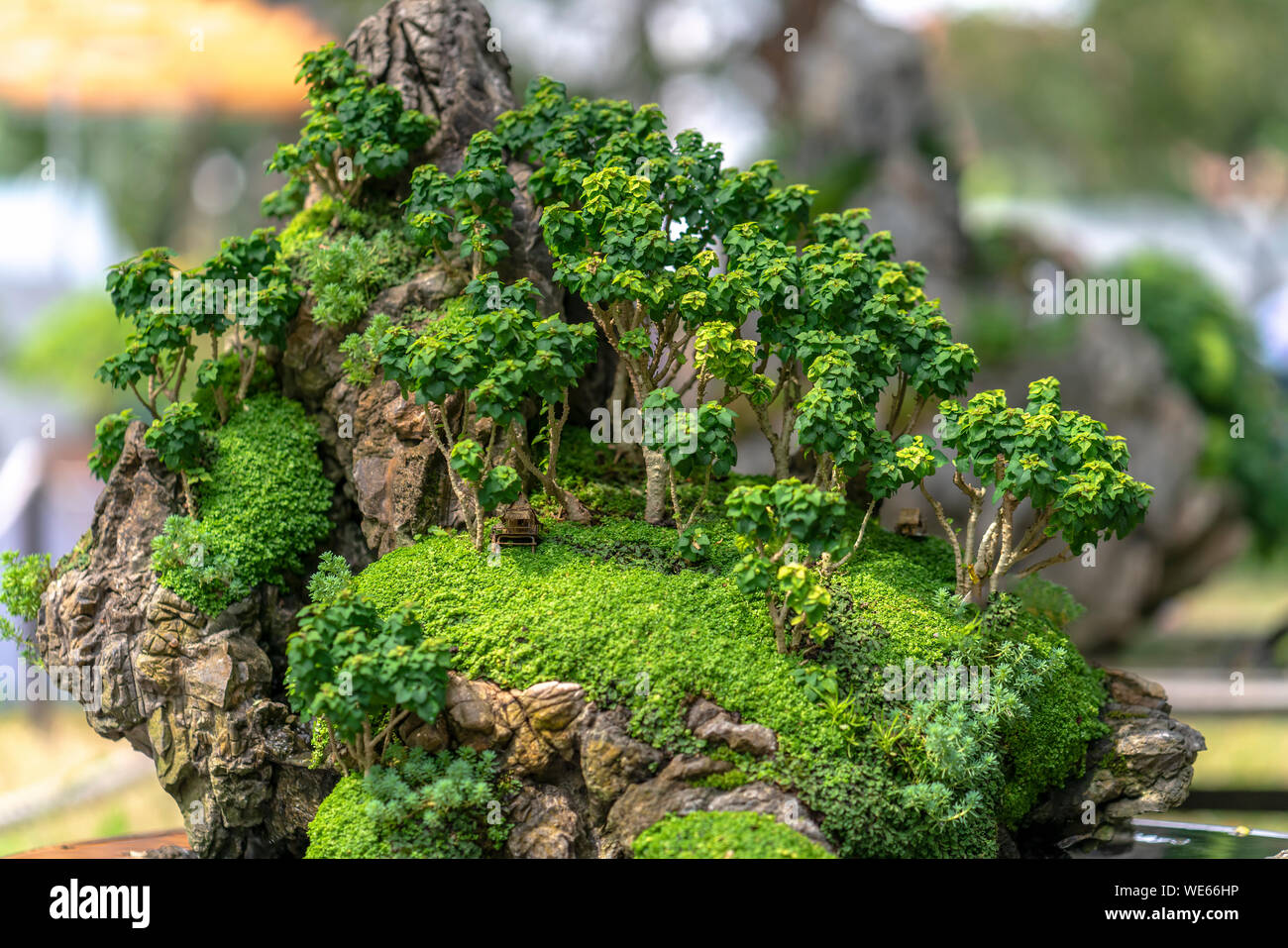 Bonsai und Penjing mit Miniatur in einem Fach wie im menschlichen Leben zu sagen muss stark steigen werden, Geduld überwinden alle Herausforderungen gut und sinnvoll zu leben Stockfoto