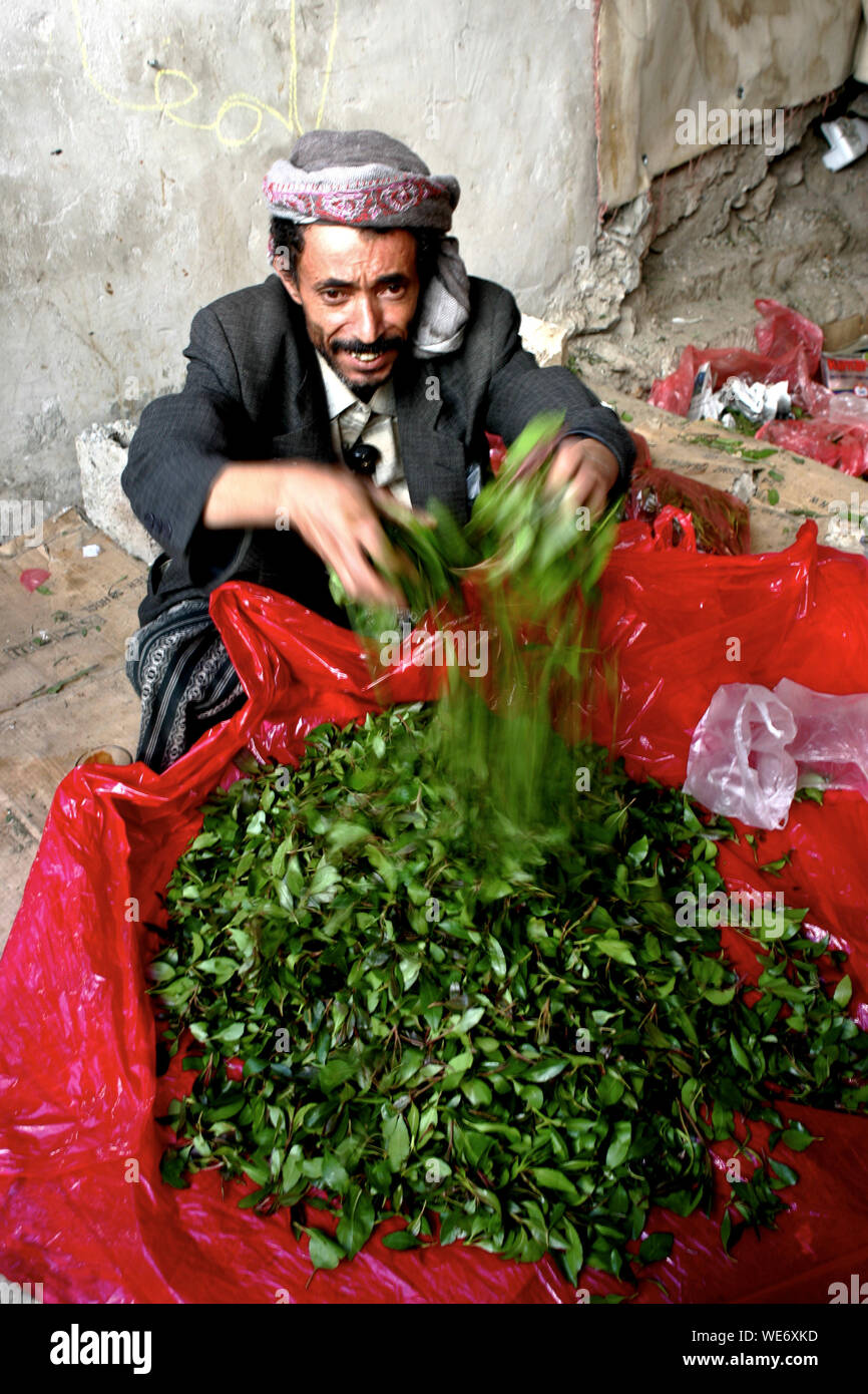 KHAT IN JEMEN Stockfoto