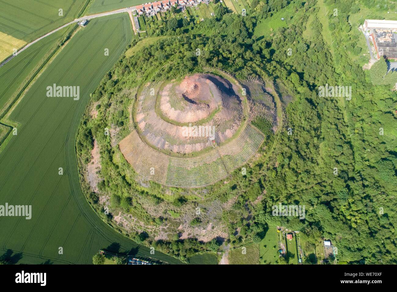 Frankreich, Pas de Calais, Bergbau, Haillicourt herum, 2000 Reben von Chardonnay Reben gepflanzt auf einen Haufen zu produzieren Wein namens charbonnay (Luftbild) Stockfoto