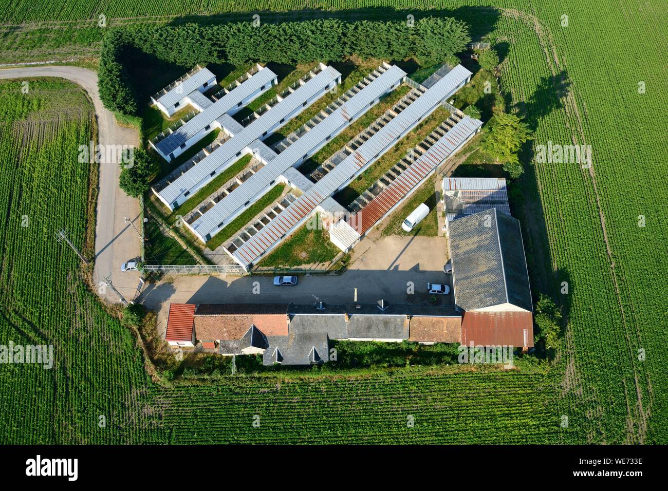 Frankreich, Loiret, Chilleurs Aux Bois, Zuflucht für Hund (Luftbild) Stockfoto