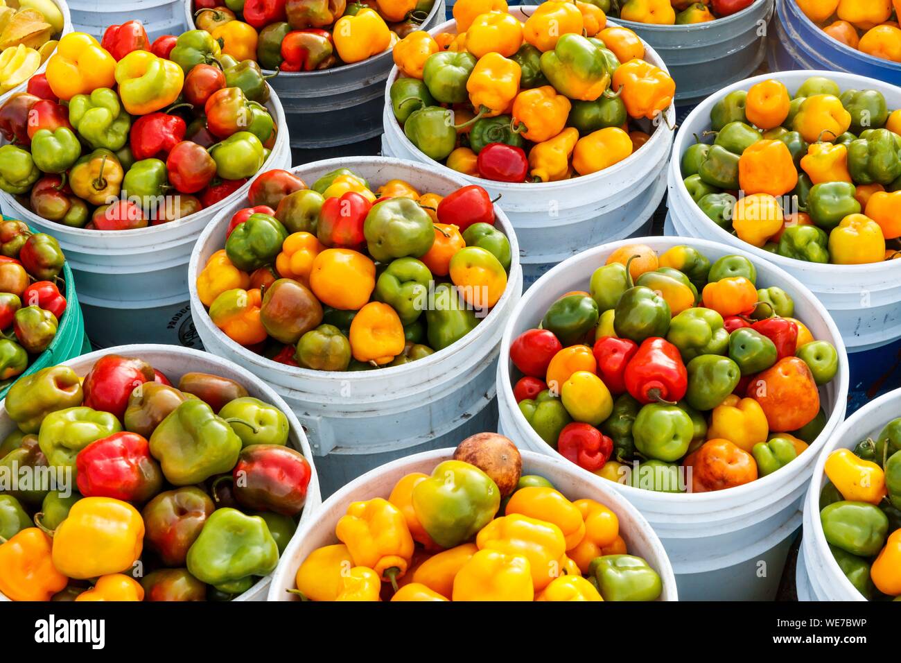 Mexiko, Michoacán, Zitacoaro, manzanos chili peppers Stockfoto