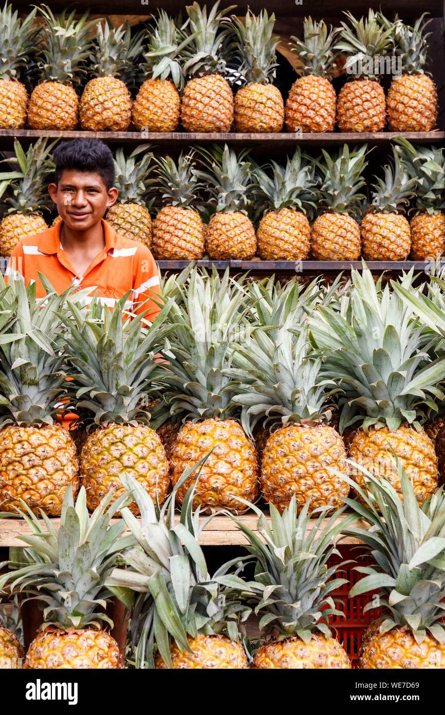 Mexiko, Chiapas, Palenque, Ananas Verkäufer Stockfoto