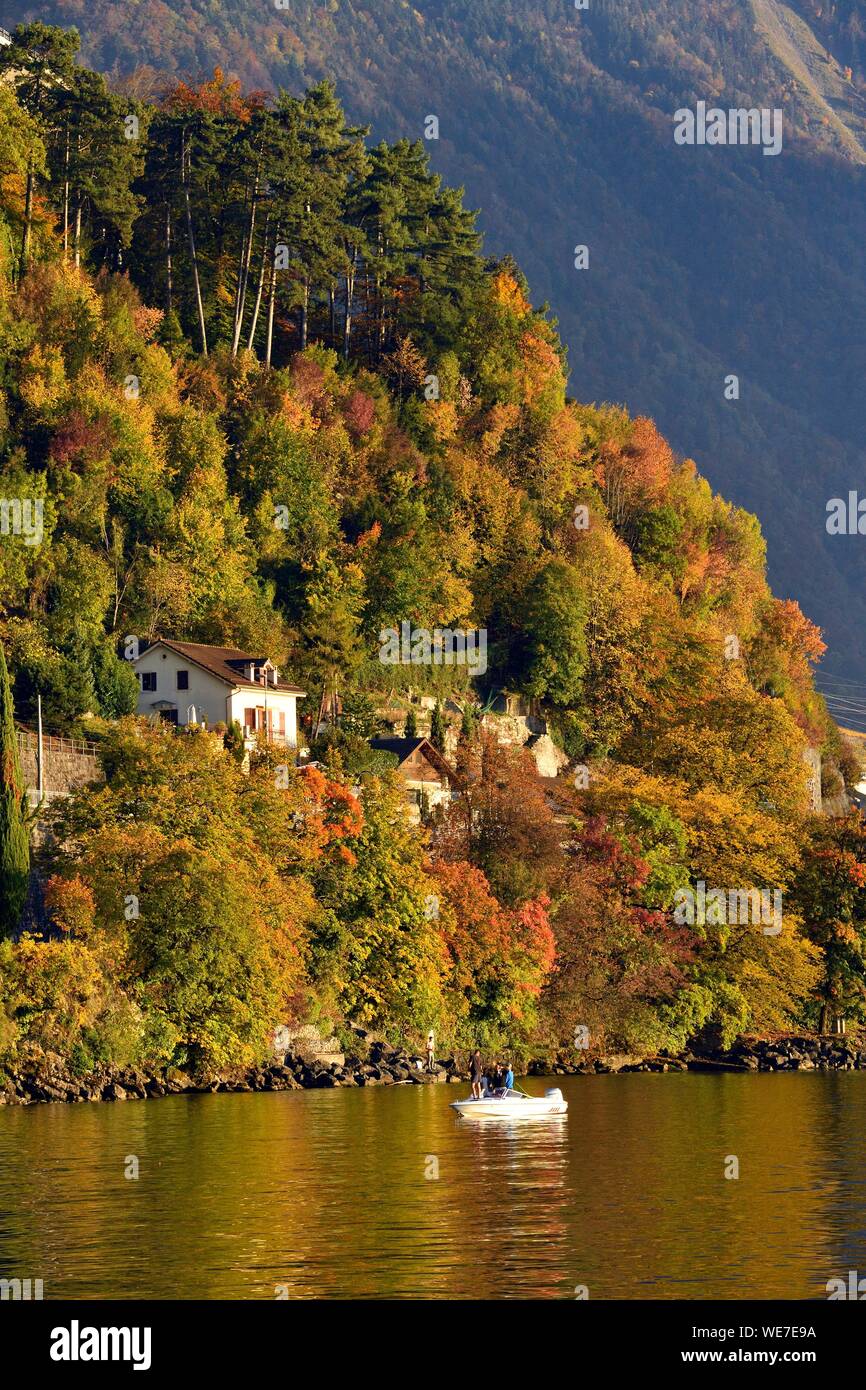 Suisse, Kanton Waadt, Genfer See, Montreux, Genfer See Banken Stockfoto