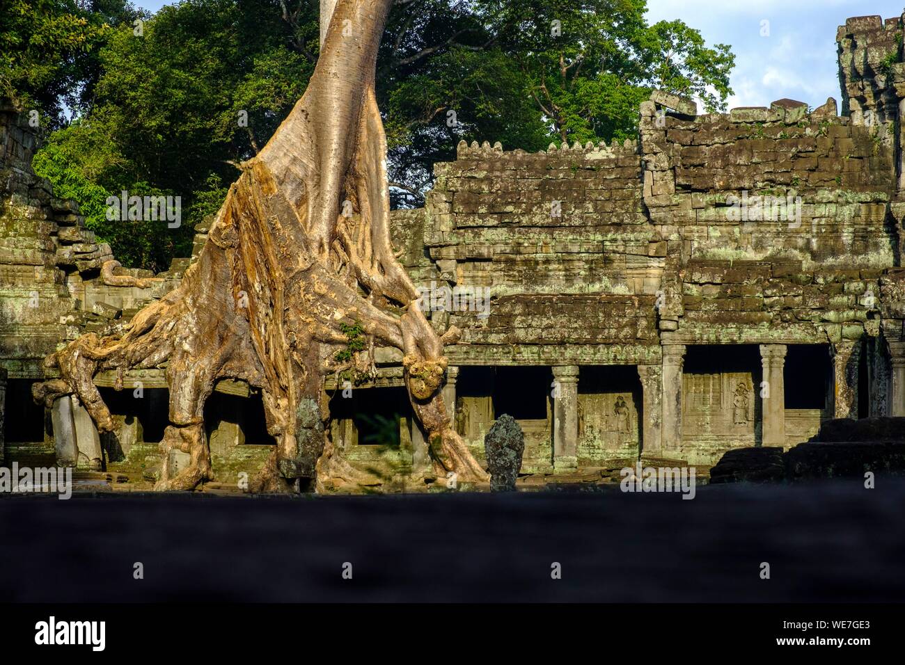 Kambodscha, Angkor auf der Liste des Weltkulturerbes der UNESCO, Preah Khan von Angkor, 1191 von König Jayavarman VII. gebaut Stockfoto