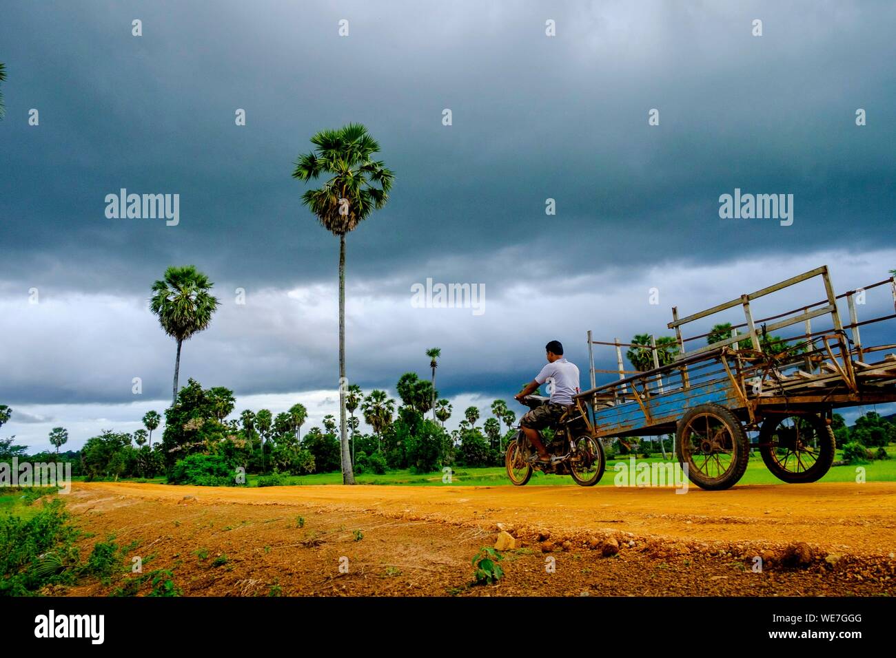 Kambodscha, Kompong Chhnang oder Kampong Chhnang, Palmen Stockfoto