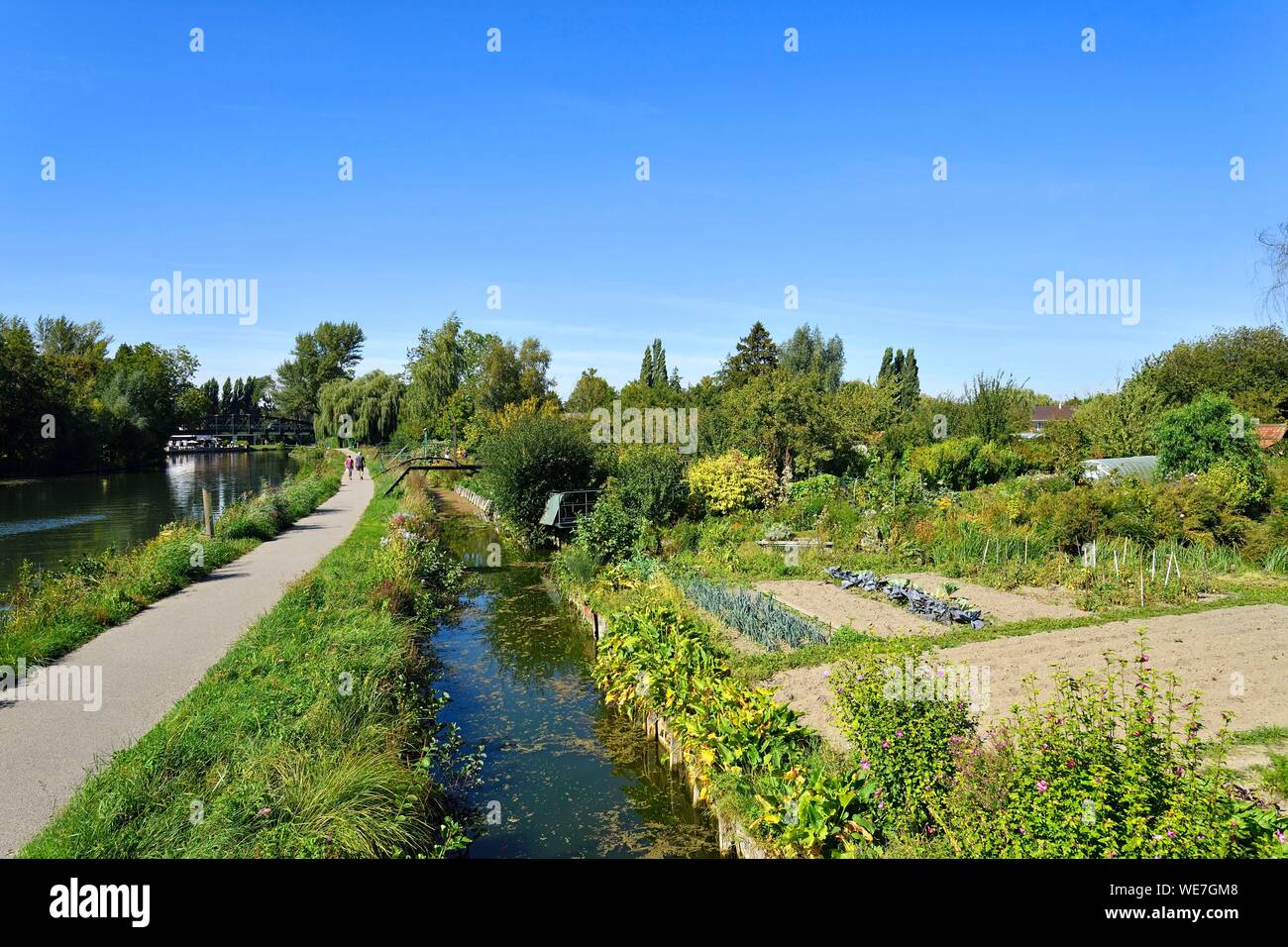 Frankreich, Picardie, Amiens, den Hortillonnages sind alte Sümpfe gefüllt ein Mosaik von schwimmenden Gärten von Kanälen umgeben zu erstellen Stockfoto