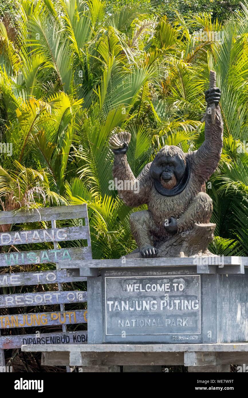 Indonesien, Borneo, Tanjung Puting Nationalpark, sekonyer River, sekonyer Dorf, Eingang des Nationalparks mit einem Orang Utan Statue Stockfoto