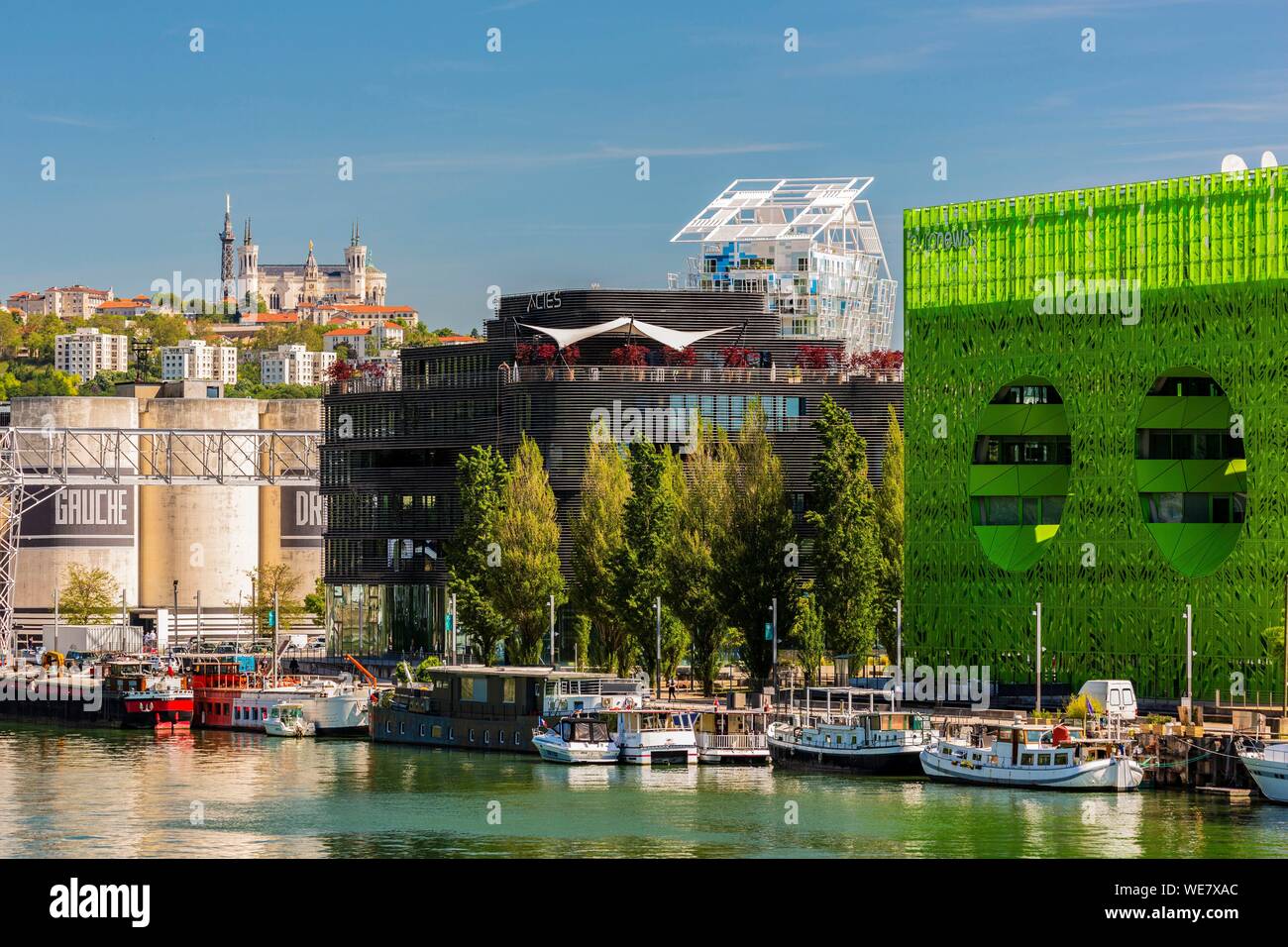 Frankreich, Rhone, Lyon, La Confluence Bezirk südlich der Presqu'ile, nahe der Mündung der Rhone und der Saone, quai Rambaud entlang der ehemaligen Docks, der Cube Vert und das Dach des Ycone Turm von Jean Nouvel, Blick auf die Basilika von Notre Dame De Fourviere Stockfoto