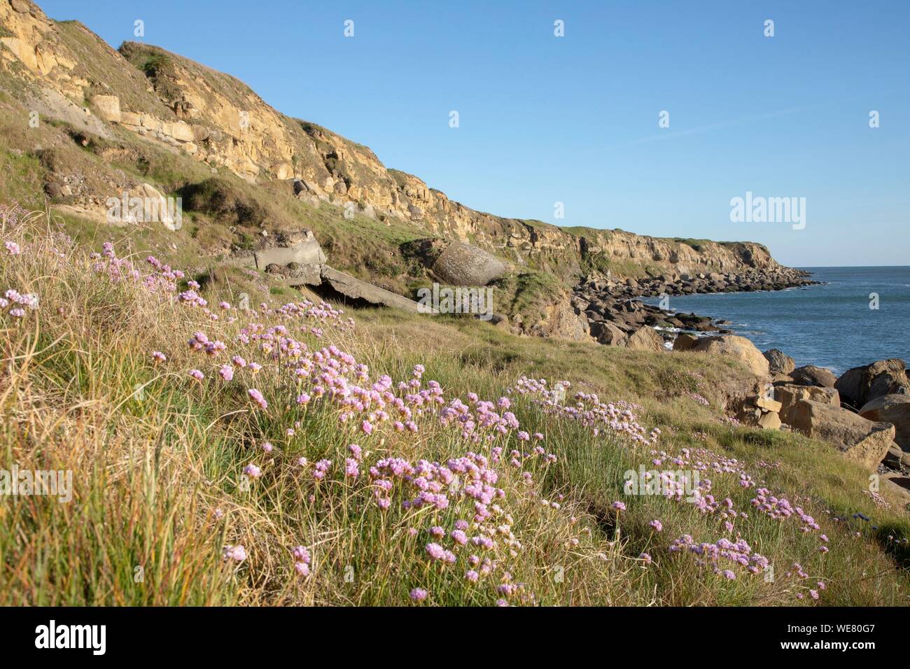 Frankreich, Nord-Pas-de-Calais", Cote d'Opale, Parc naturel Regional des Caps et Marais d'Opale, cap gris nez, Audinghen, Klippen zwischen dem Leuchtturm und den eggshed Stockfoto