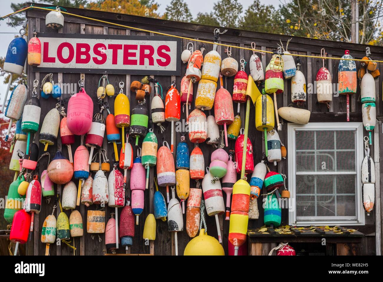 Usa, Maine, Mt. Desert Island, Eden, traditionelle Lobster Shack Restaurant für Meeresfrüchte, Herbst Stockfoto