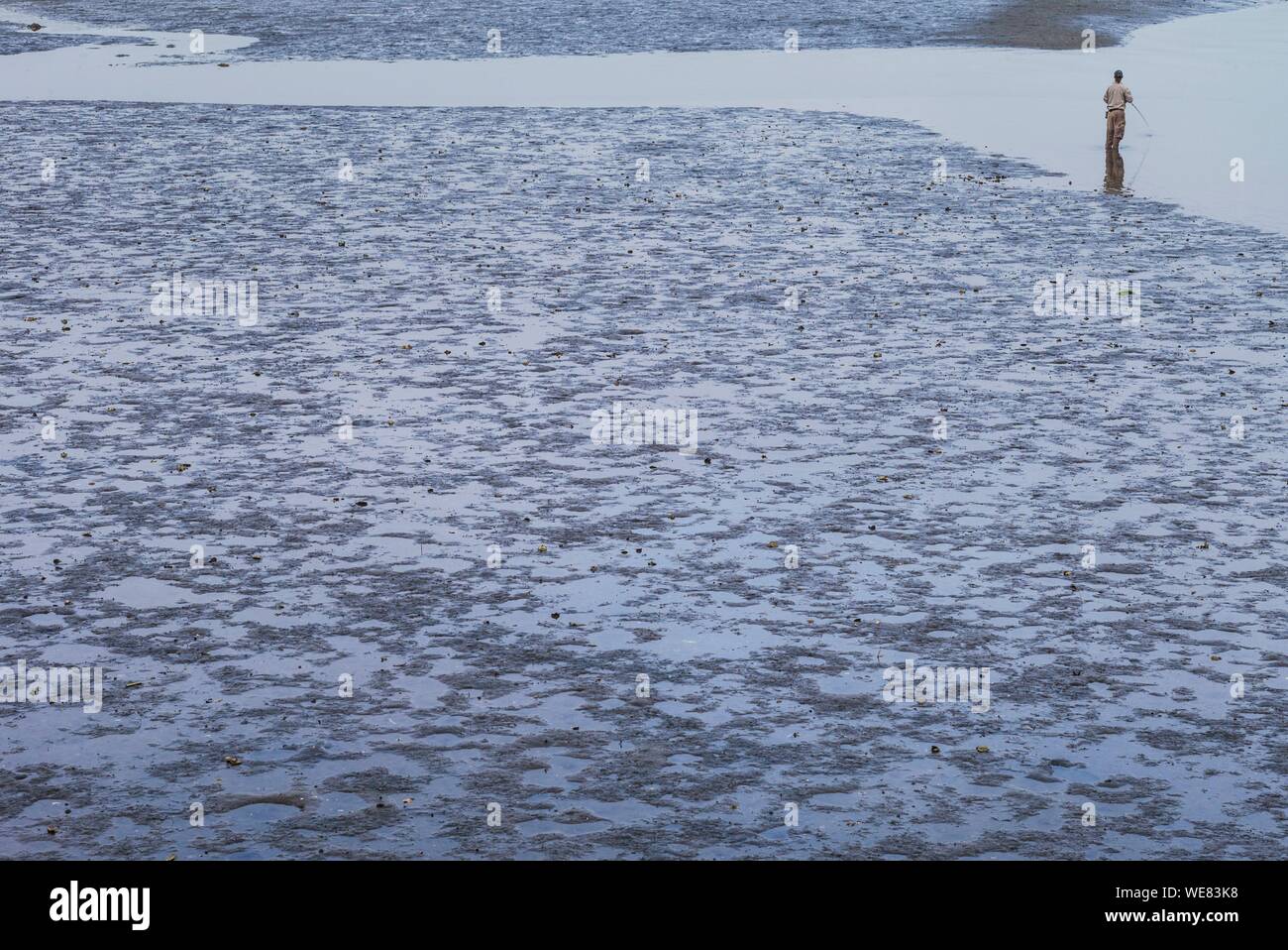 United States, New England, Massachusetts, Cape Ann, Gloucester, Annisquam Fluss, Angeln bei Ebbe Stockfoto