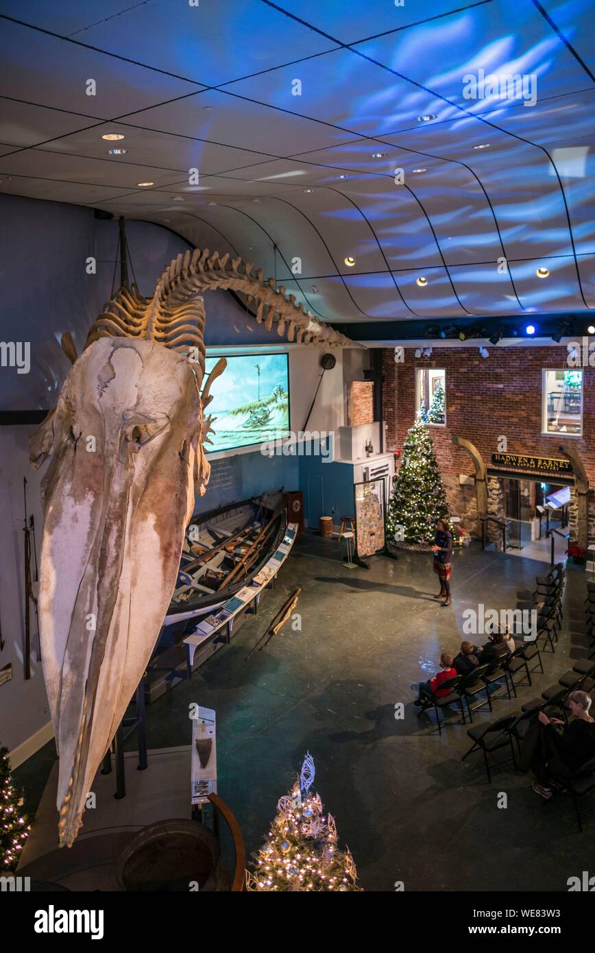United States, New England, Massachusetts, Nantucket Island, Nantucket, Nantucket Whaling Museum, Wal Skelett und Walfang Präsentation Stockfoto
