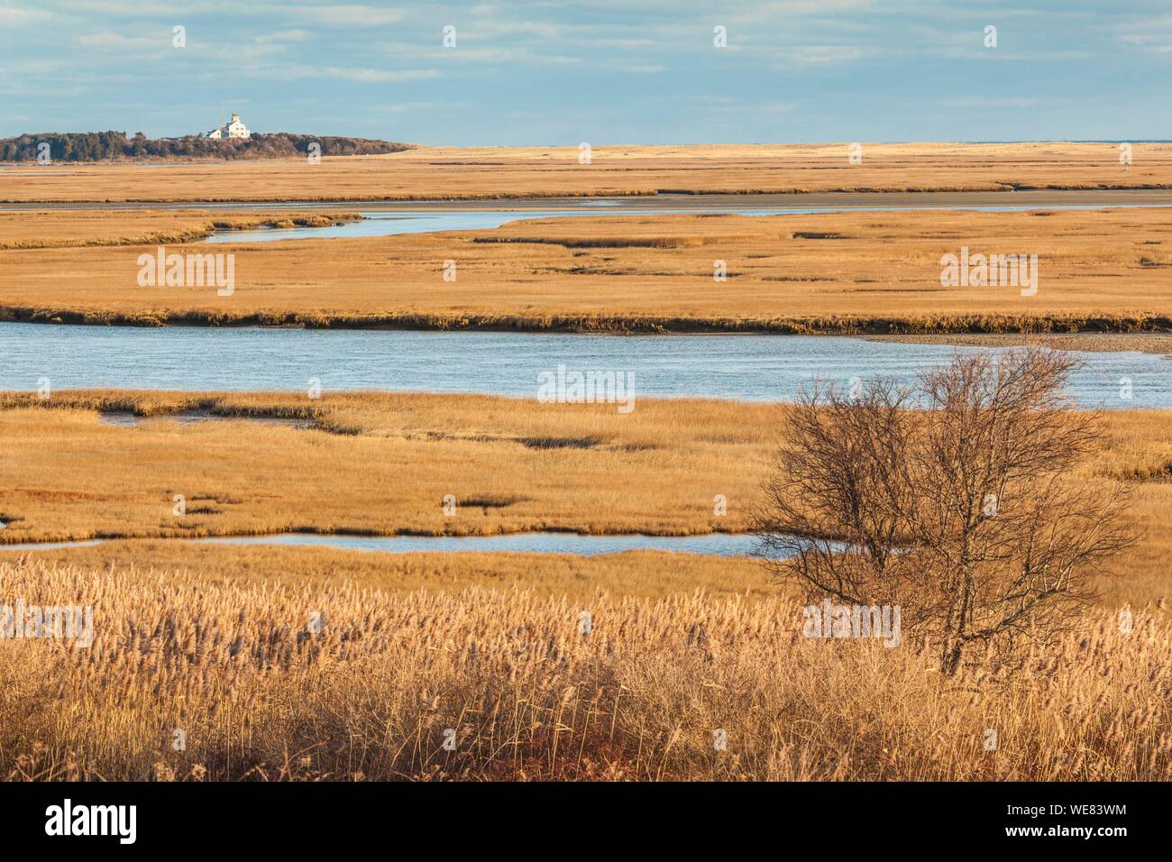 United States, New England, Massachusetts, Cape Cod, Eastham, Fort Hill, Nauset Marsh, winter Stockfoto