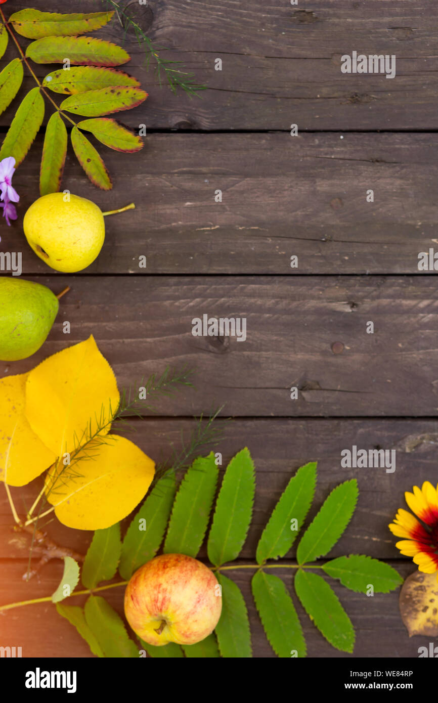 Vertikale braun Holz- Hintergrund mit Herbst Blätter, Blüten und Früchte mit Platz für Text kopieren Stockfoto