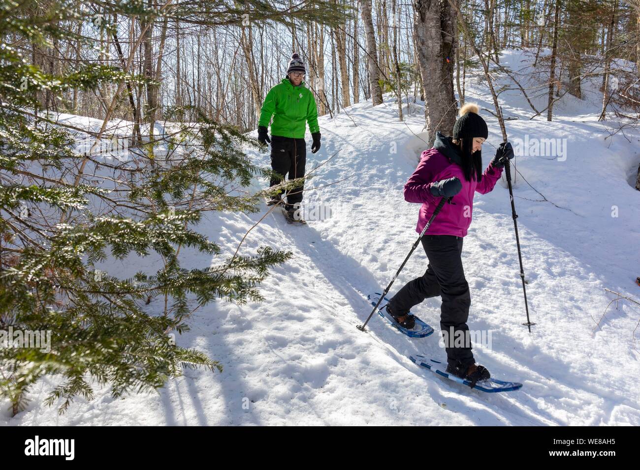 Kanada, Quebec Provinz, Mauricie region, Shawinigan und Umgebung, La Mauricie Nationalpark, Schneeschuhwandern MR OK Stockfoto