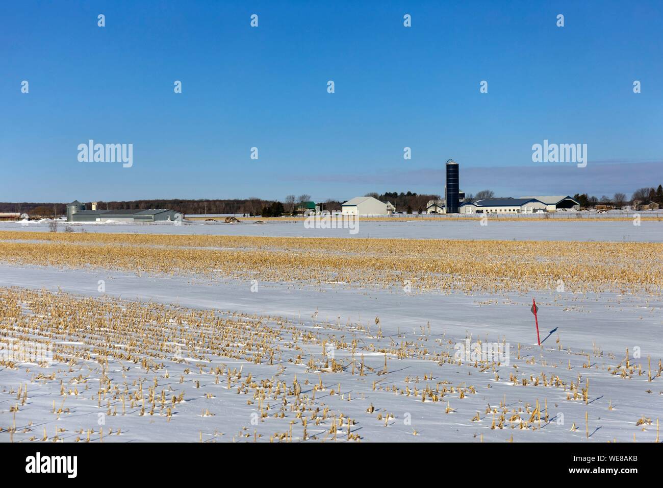 Kanada, in der Provinz Quebec, Via Rail Zug zwischen Quebec und Montreal, Centre-du-Québec region, Drummondville Bereich Farm Stockfoto