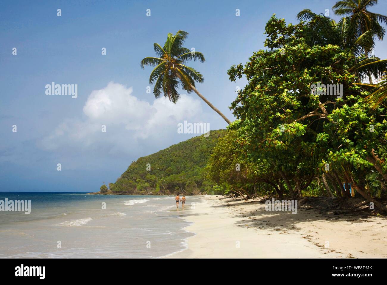 Kolumbien, Ziyaaraiyfushi, paar Walking am Strand von Manzanillo mit hohen Kokospalmen gesäumt und durch das Karibische Meer umspült Stockfoto