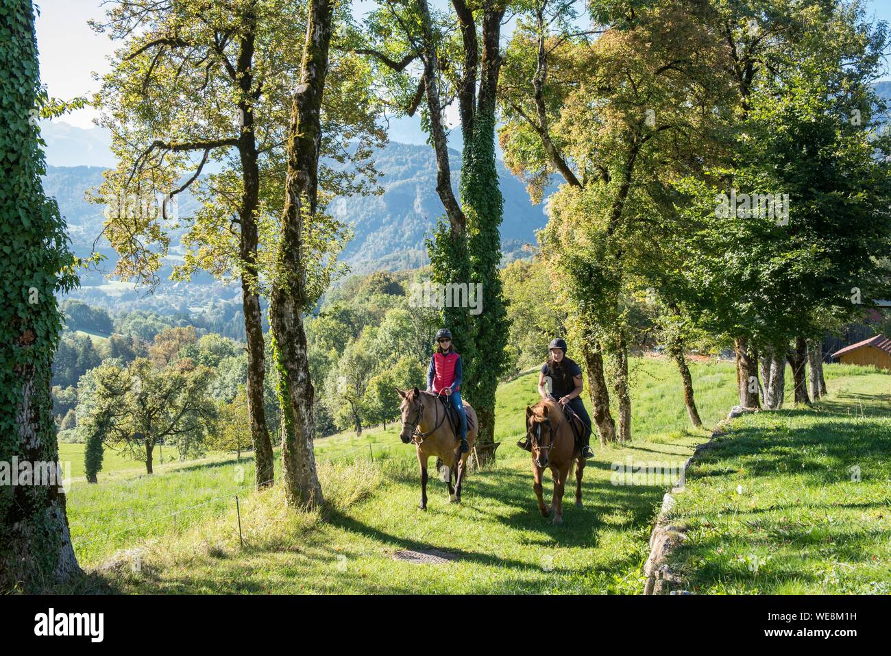 Frankreich, Haute Savoie, Mieussy, Reiten entlang der Giffre aus Sommand, in der Almen Stockfoto