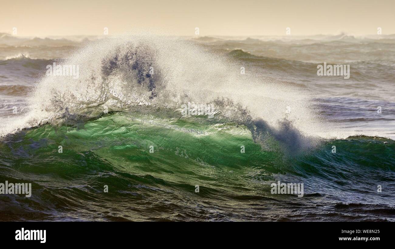 Frankreich, Finistere, Iroise, Iles du Ponant, Parc Naturel Regional d'Armorique (Armorica Regionaler Naturpark), Ile de Sein, mit der Bezeichnung Les Plus Beaux de France (die schönste Dorf in Frankreich), Wave auf der Chaussée de Sein im Westen der Insel Stockfoto