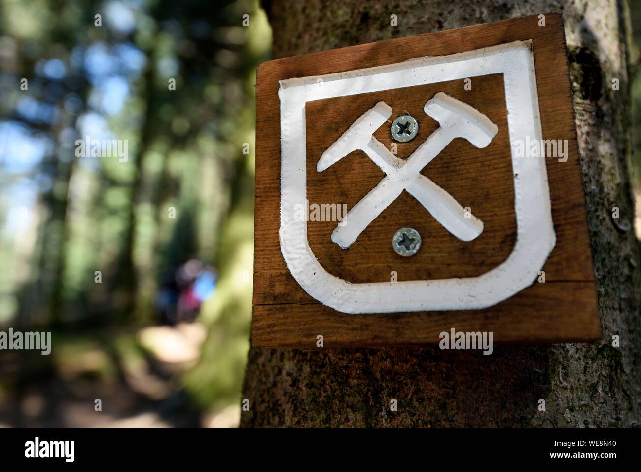 Frankreich, Haute Saône, Plancher les Mines, Laurier Bergbau Stromkreis, Wald, trail Markierung auf einem Baum Stockfoto