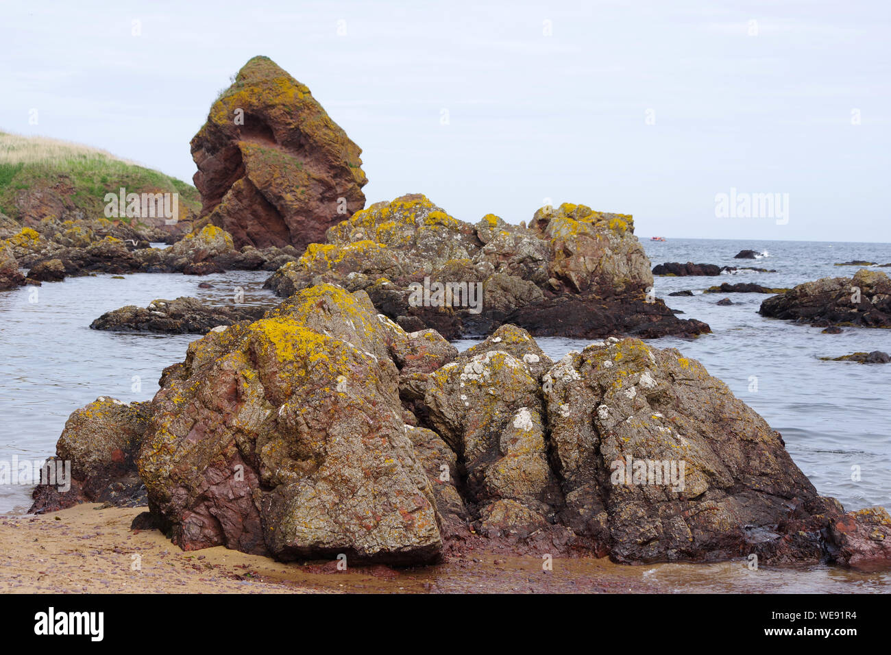 Zerklüftete Felsen am Ufer des Coldingham Bay, an der Nordsee der Scottish Borders Stockfoto