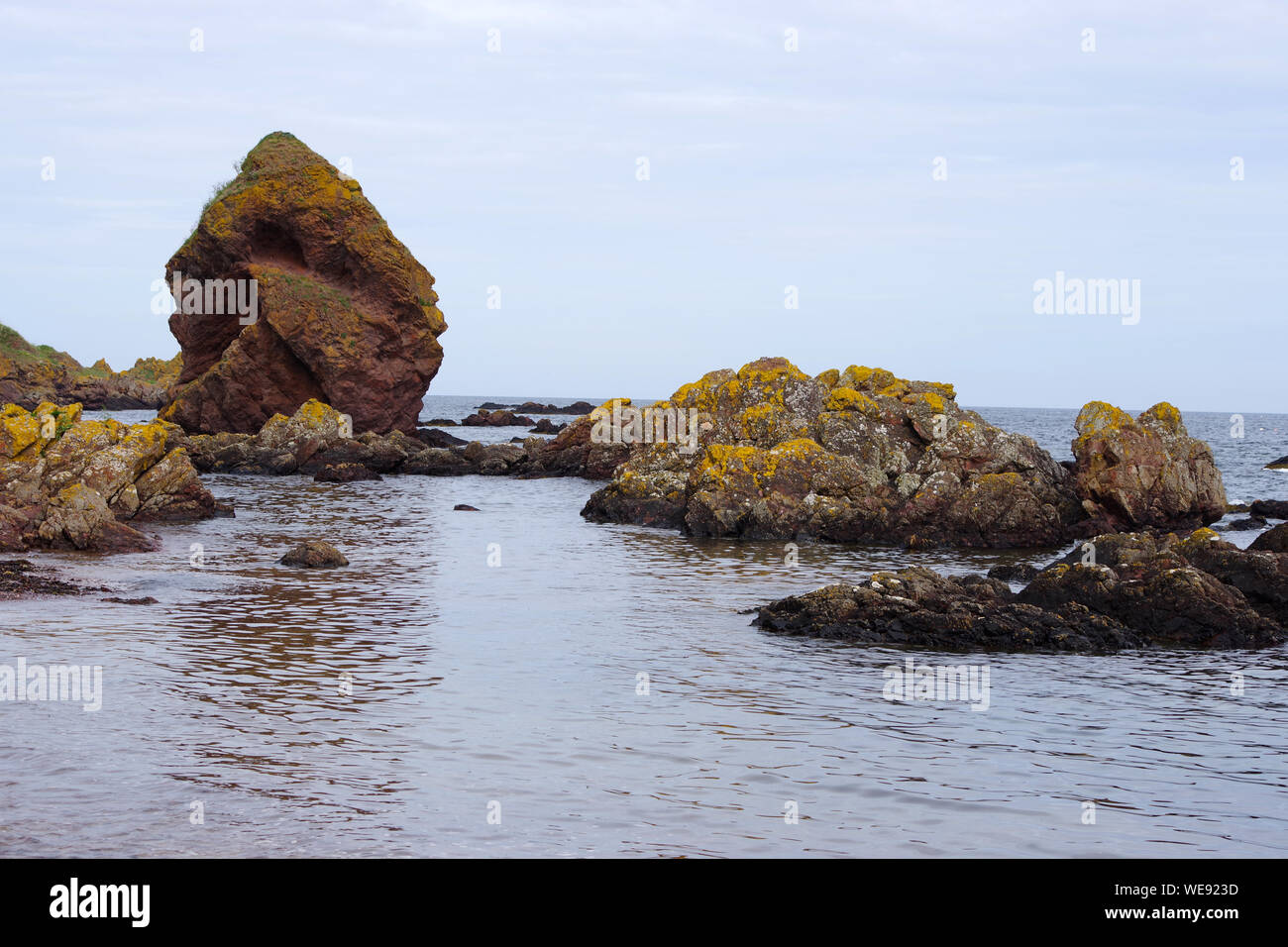 Zerklüftete Felsen am Strand in Coldingham Bay an der Nordseeküste auf der schottischen Grenze Stockfoto