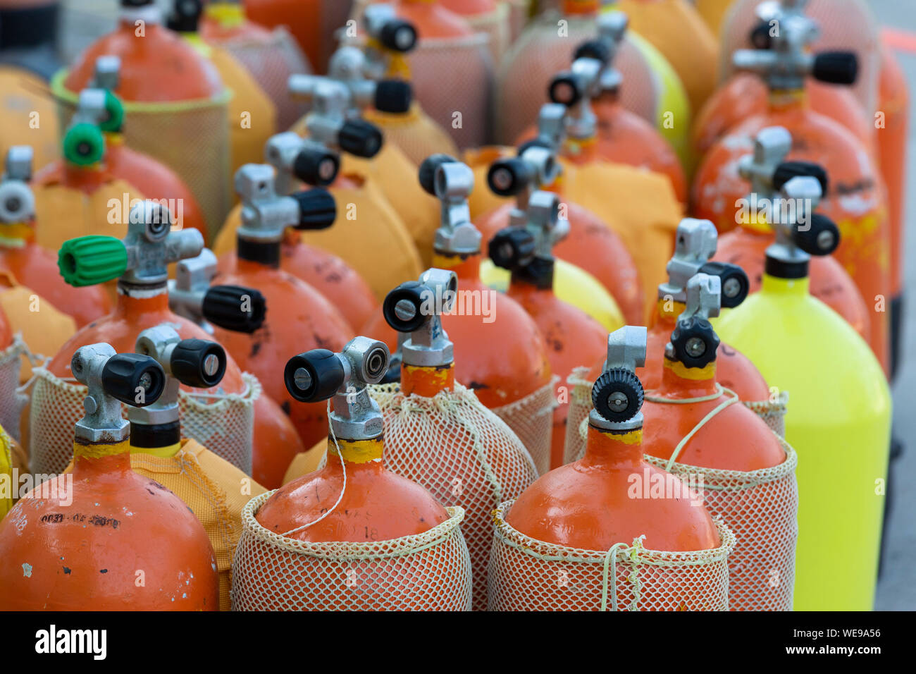 Sauerstoffflaschen für den Tauchsport Stockfoto