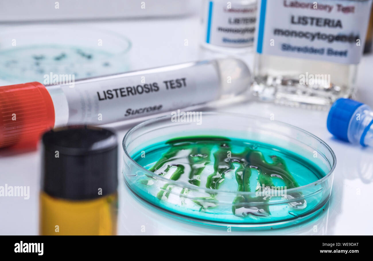 Proben Sie der angefüllten Fleisch durch Bakterium von Listeria in Labor kontaminierte analysieren, sprießen in Spanien verursacht Stockfoto