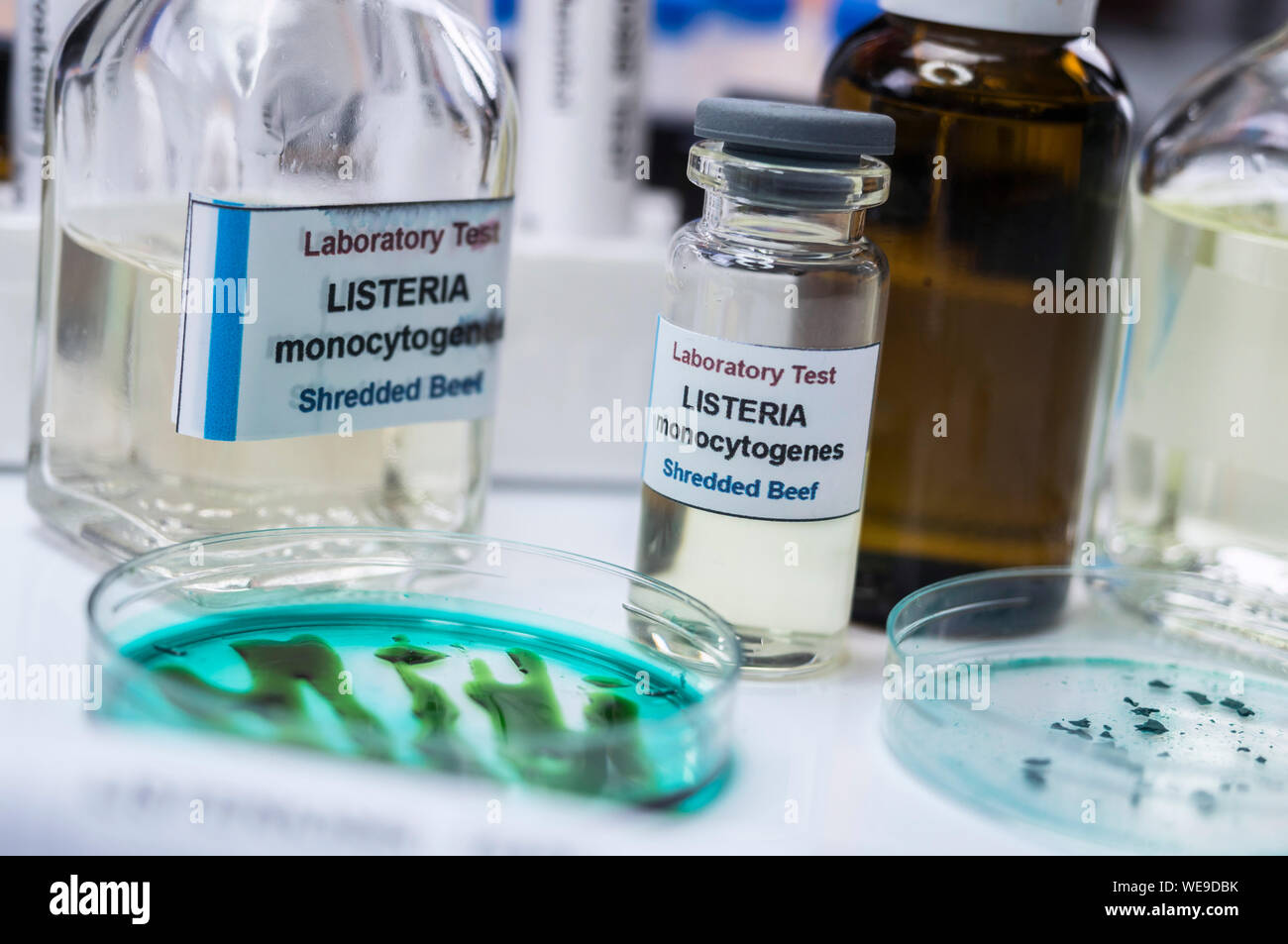 Proben Sie der angefüllten Fleisch durch Bakterium von Listeria in Labor kontaminierte analysieren, sprießen in Spanien verursacht Stockfoto
