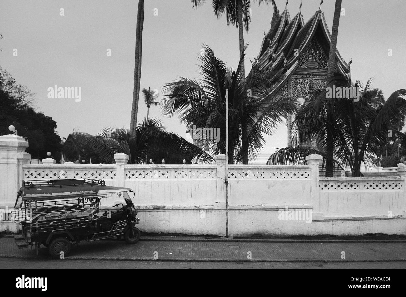 Luang Prabang Royal Palace Museum Wand und Hor Prabang Temple Hall versteckt hinter Kokosnuss Baum mit Tuk Tuk Park an der Wand Seite - Schwarz und Weiß Stockfoto