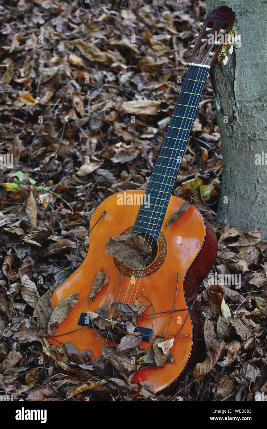 Klassische Gitarre lehnte sich gegen einen Baum Stockfoto