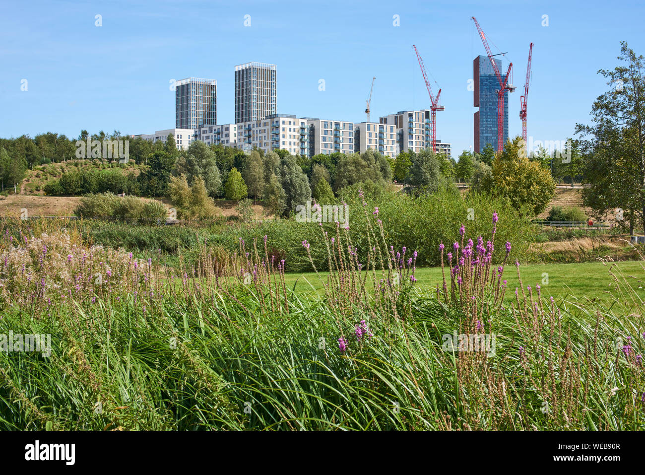 East Village, Stratford, London UK, gesehen von der London Olympic Park, im Sommer Stockfoto